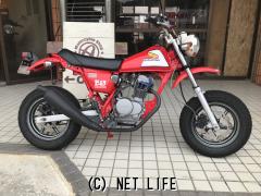 ホンダ エイプ100