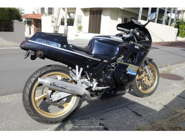ヤマハ FZR250・1987(S62)初度登録(届出)年・250cc・ブルームーン