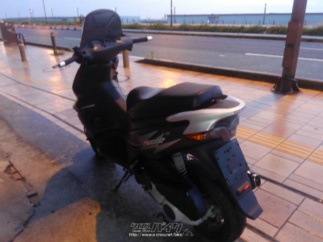 ジレラ ランナー