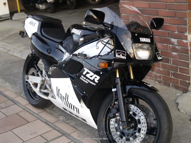 ヤマハ TZR250