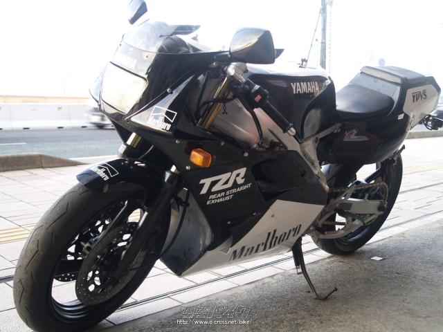 ヤマハ TZR250