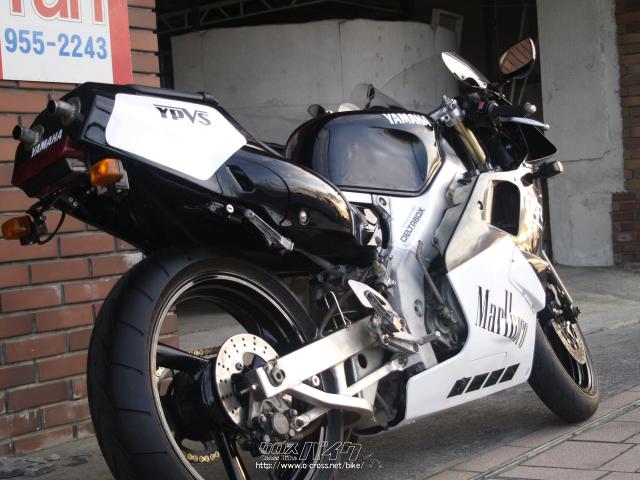 ヤマハ TZR250