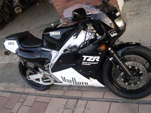 ヤマハ TZR250