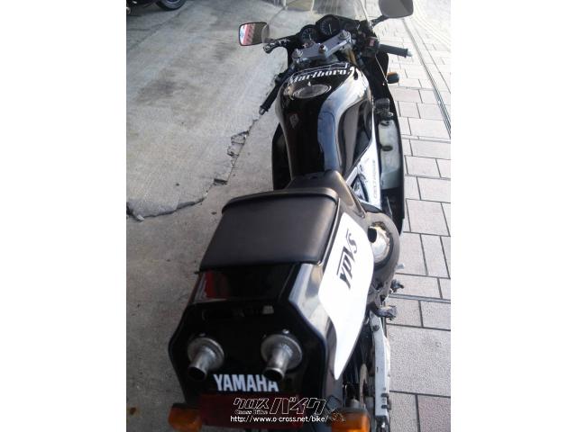 ヤマハ TZR250