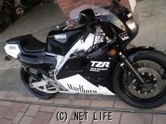 ヤマハ TZR250