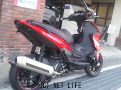 ジレラ ランナー