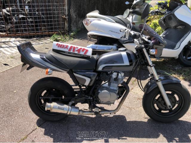 ホンダ エイプ50