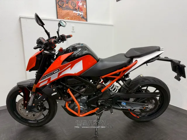 KTM 250 デューク