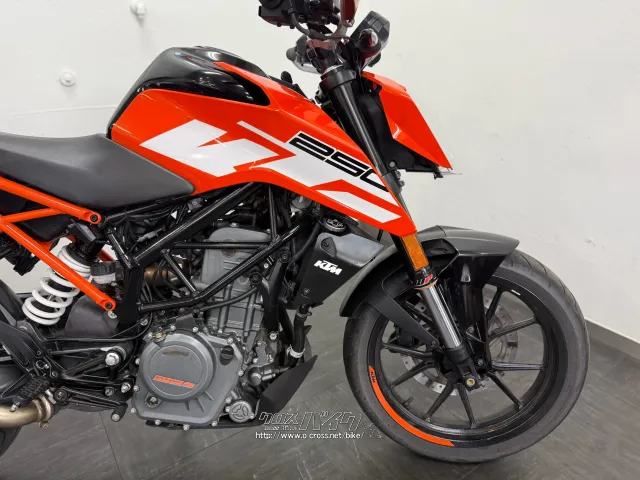 KTM 250 デューク