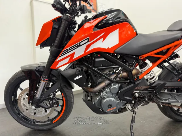KTM 250 デューク