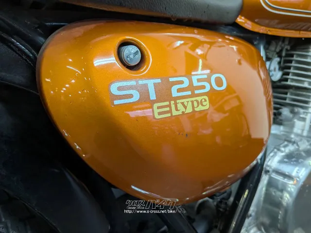 スズキ ST