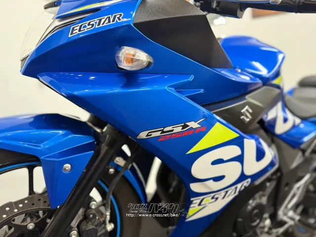 スズキ GSX250R