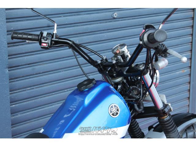 ヤマハ TW 225・ブルーII・225cc・HUBWAY・減算車(カスタムミニ