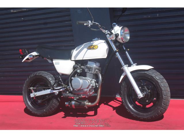 ホンダ エイプ50