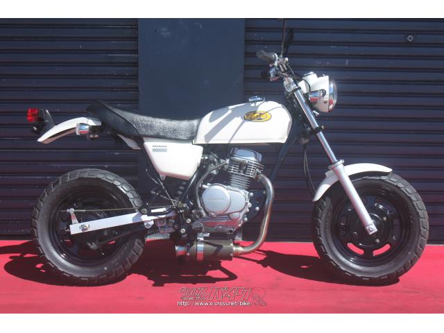 ホンダ エイプ50