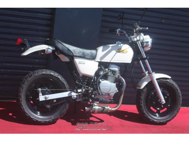 ホンダ エイプ50
