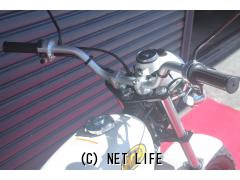 ホンダ エイプ50