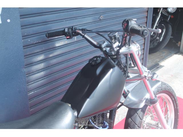 ヤマハ TW 200 E ロンスイカスタム・2000(H12)初度登録(届出)年