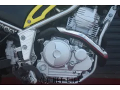 ヤマハ トリッカー