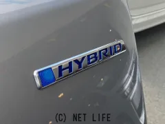 ホンダ フリード+