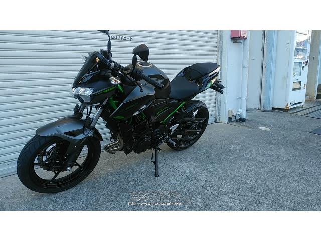 カワサキ Z250 2024モデル・マッドブラック・250cc・ゴヤオート