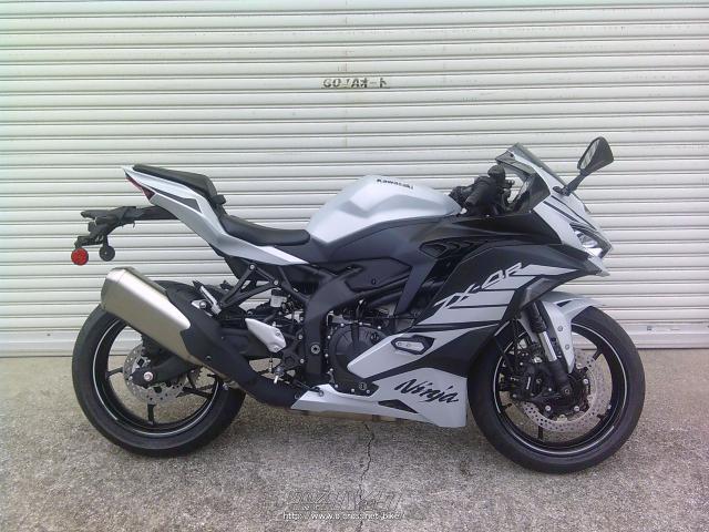 白黒　様リクエスト品 カワサキ ニンジャ ZX-4RSE NEWカラー・シルバー (白?)・400cc