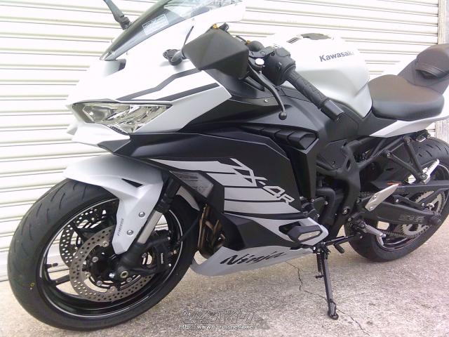 カワサキ ニンジャ ZX-4RSE NEWカラー・シルバー (白?)・400cc