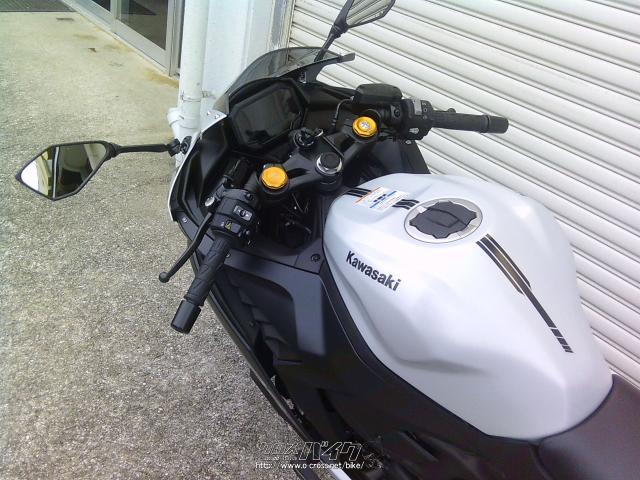 カワサキ ニンジャ ZX-4RSE NEWカラー・シルバー (白?)・400cc