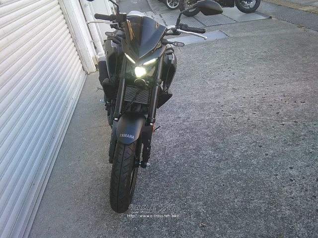 ヤマハ MT-25