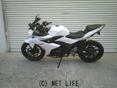 部品取車・フレーム等 GSX-250R