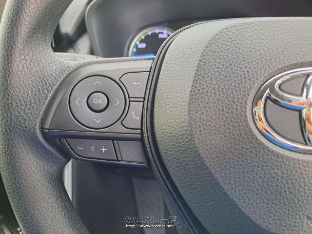 ハンドル左でオーディオ操作が可能 トヨタ RAV4