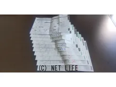 スズキ パレット