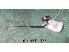 スズキ パレット