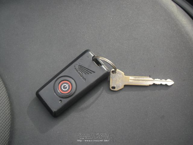 フォルツァZ オーディオパッケージ 250 ホンダ フォルツァ 250 Z・オーディオパッケージ (MF10・本土中古・6月