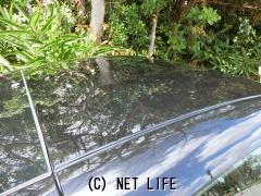 日産 フェアレディZ