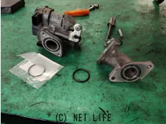 スズキ アドレスV50