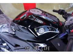 ヤマハ YZF-R25