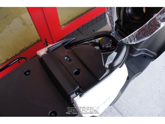 ヤマハ ギア 50 新車 (支払総額価格/税込) (店頭在庫有) (残り1台