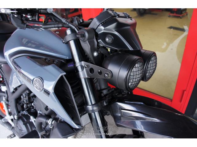 ヤマハ MT-25 250 ABS 中古車・カスタム車 (店頭在庫有)・グレー