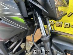 カワサキ Z250
