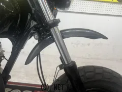 ホンダ エイプ50