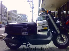 ヤマハ VOX