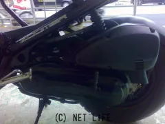 ホンダ ズーマー