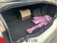 トヨタ ブレビス