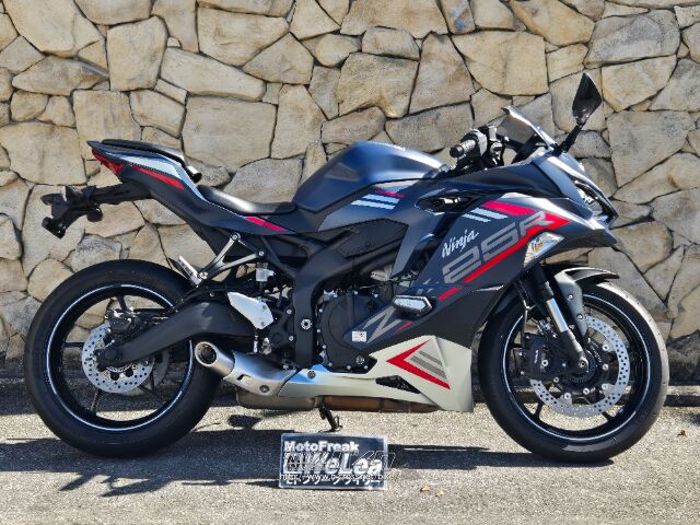iceーG 3．0R セーフティコード付き ブラックスパイダー