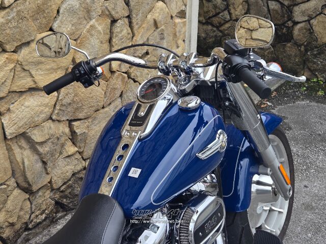 ハーレーダビッドソン ソフテイル