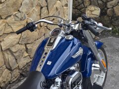 ハーレーダビッドソン ソフテイル