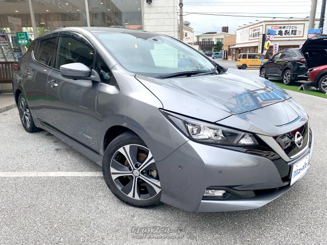 進化した自動運転技術を始めとする先進技術を合わせ持つ、「技術の日産」の粋を結集したクルマとなった 日産 リーフ