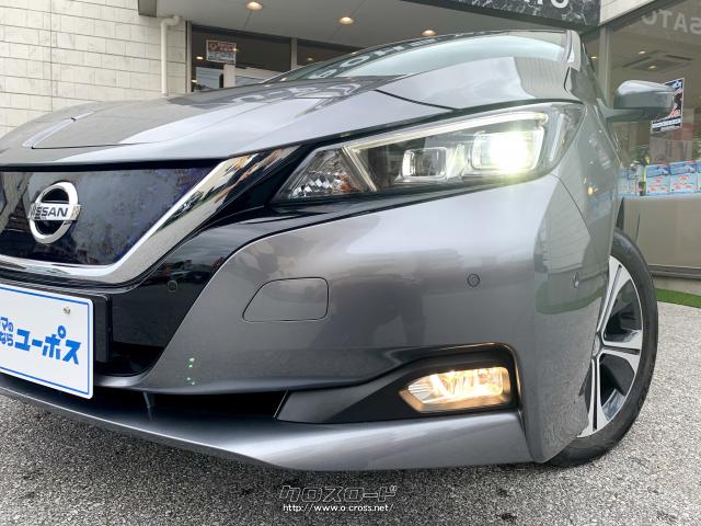 ヘッドライト(LED)・フォグライト 日産 リーフ