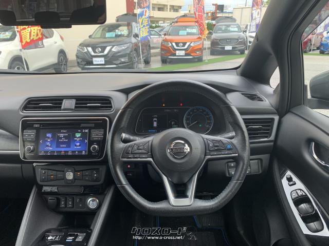 ドライバーの運転時の負担を軽減するe‐Pedalを搭載 日産 リーフ